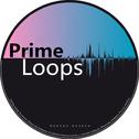 Prime Loops专辑