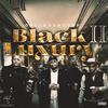 DalladdaCorp - Black Luxury 2 (feat. Shani Shanell, Piper, Tim Black, Knote Wit-A-K & Bambedrok/8MileSlik)