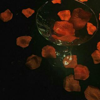 「少女幻想」想与你一同坠落，每时每刻