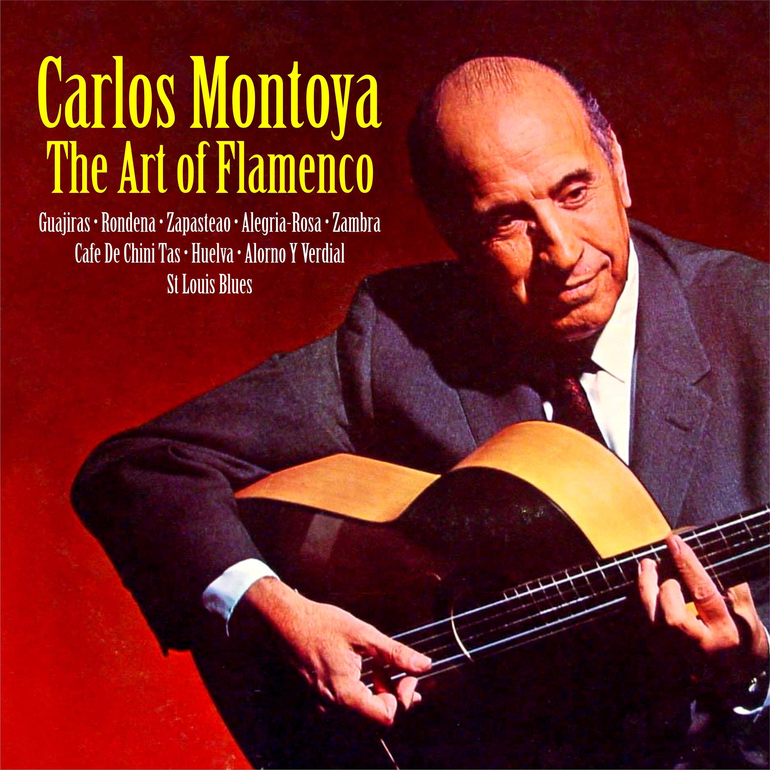 The Art of Flamenco