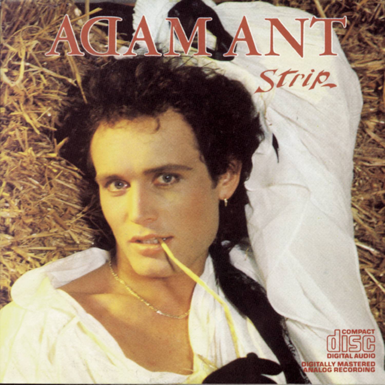 Adam Ant - Puss 'n Boots