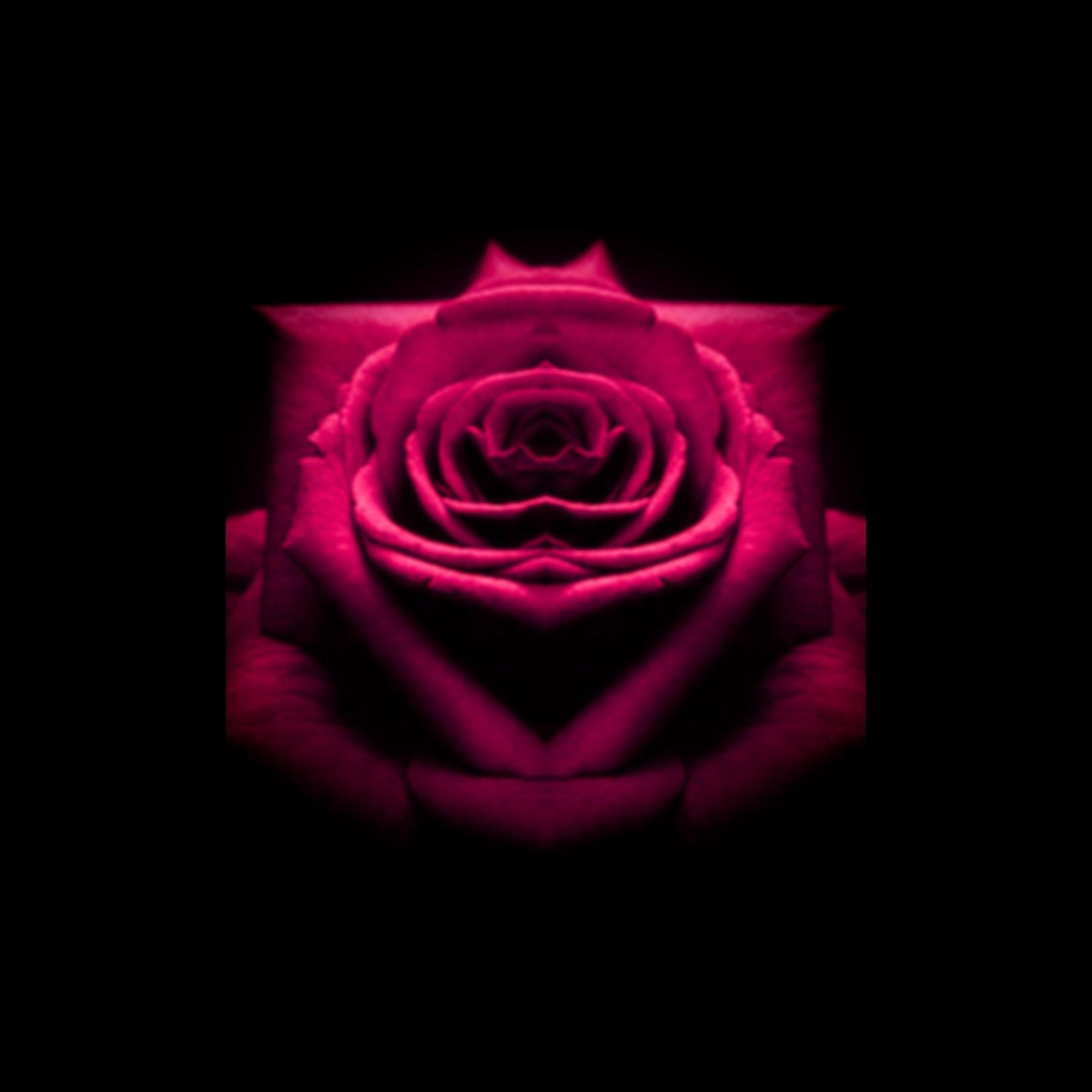 The Voice of Love