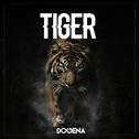 Tiger专辑