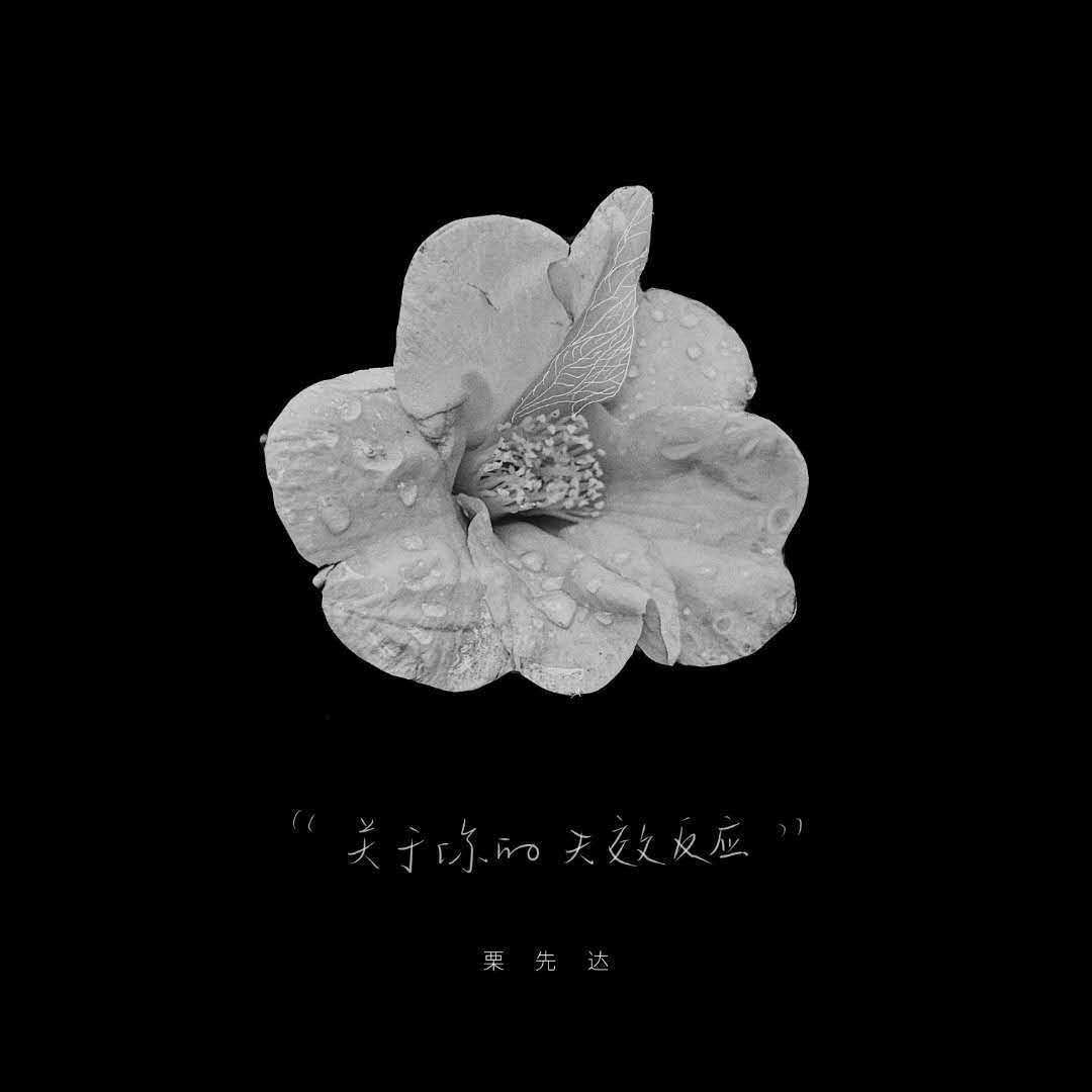 [Cover]关于你的失效反应