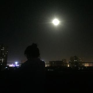 精选｜那些能治愈星星的歌
