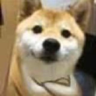 Minecraft - 子泽小朋友 Video BGM