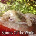 Storms Of The World专辑