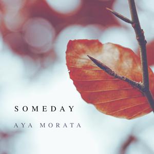 Someday Soon - Judy Collins (Karaoke Version) 带和声伴奏
