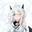 Sune_Official
