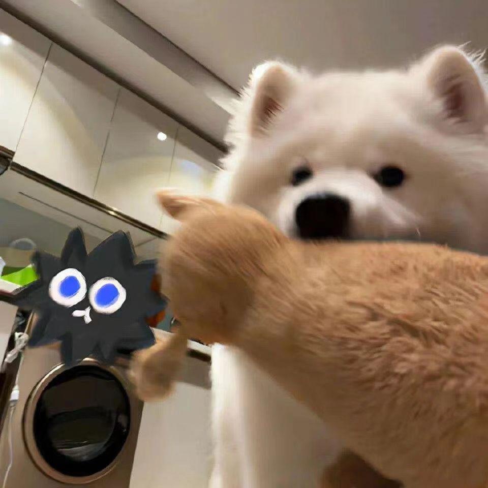 你在,不在