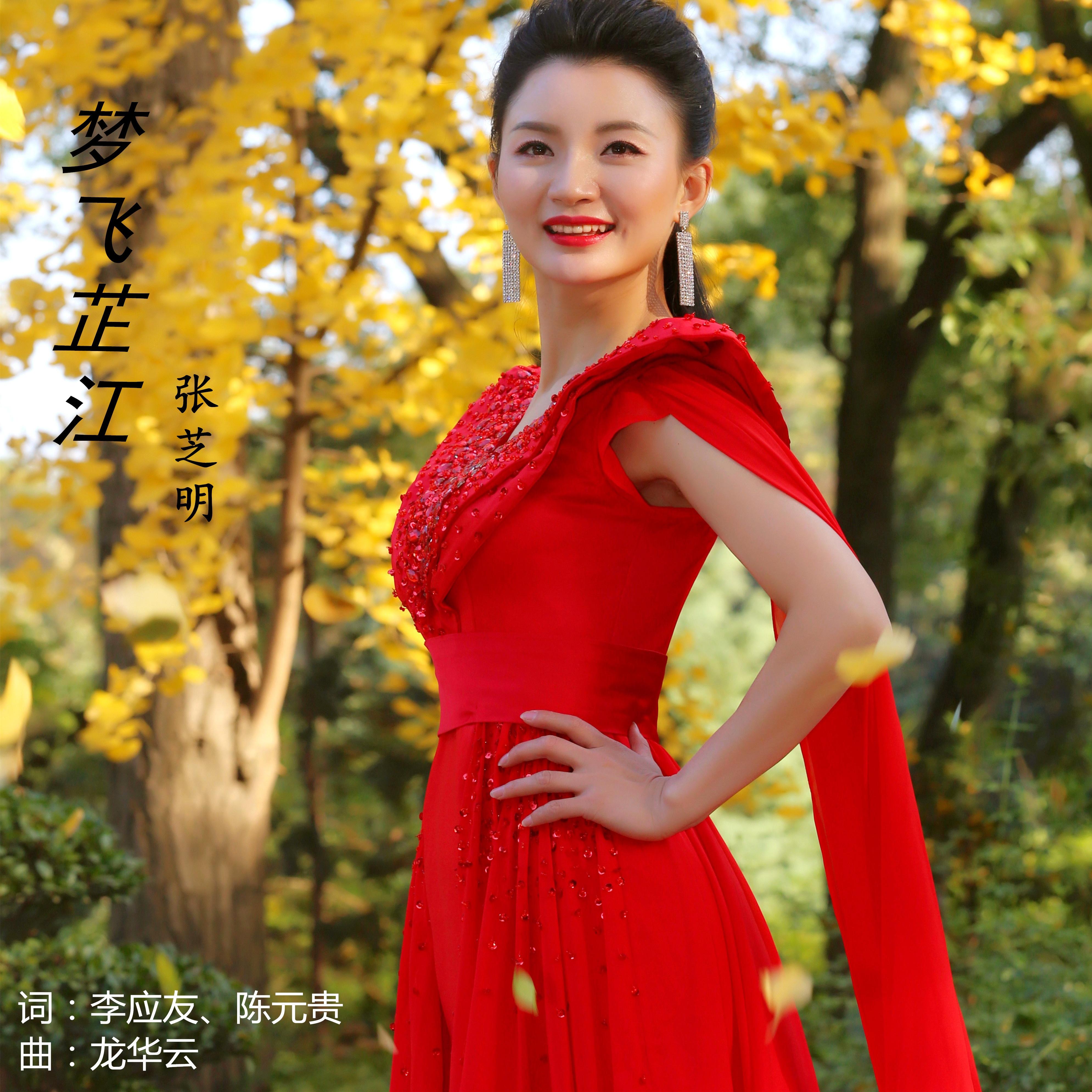 梦飞芷江 - 张芝明 - 单曲 - 网易云音乐
