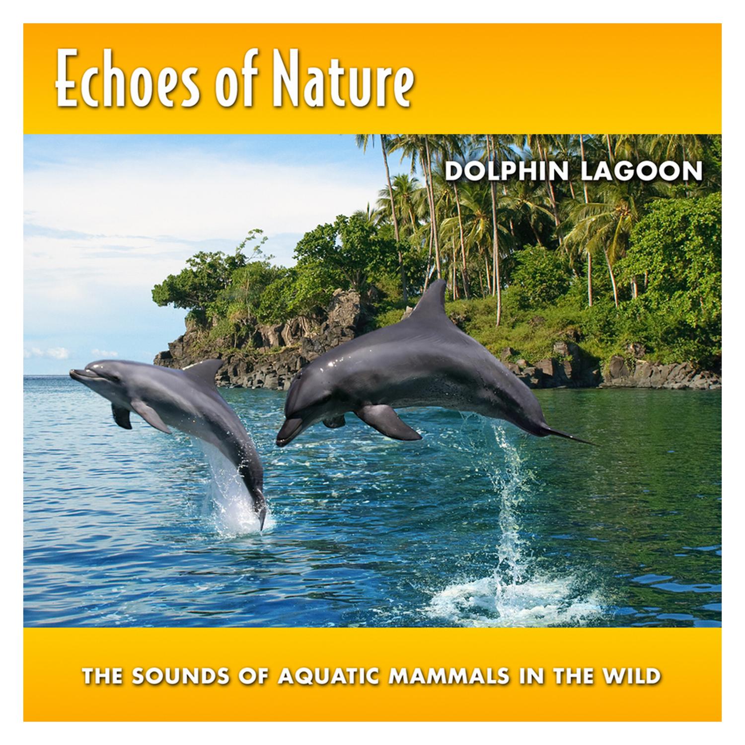 Dolphin Lagoon