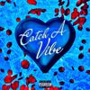 Jae Fontane - Catch A Vibe