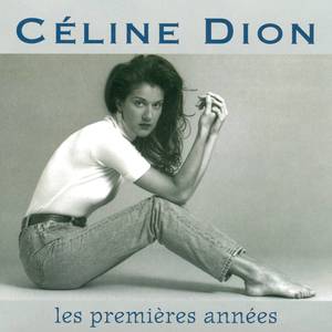 Un Amour Pour Moi - Céline Dion (karaoke) 带和声伴奏