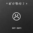 我又想你了