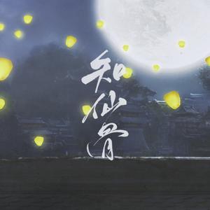 知仙骨【女版】