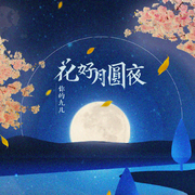 花好月圆夜