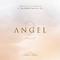Angel 2.0 (feat. Julie Elven & Claudio Pietronik)专辑