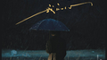雨滴淋湿我的心专辑
