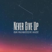 Never Give Up(Original Mix)