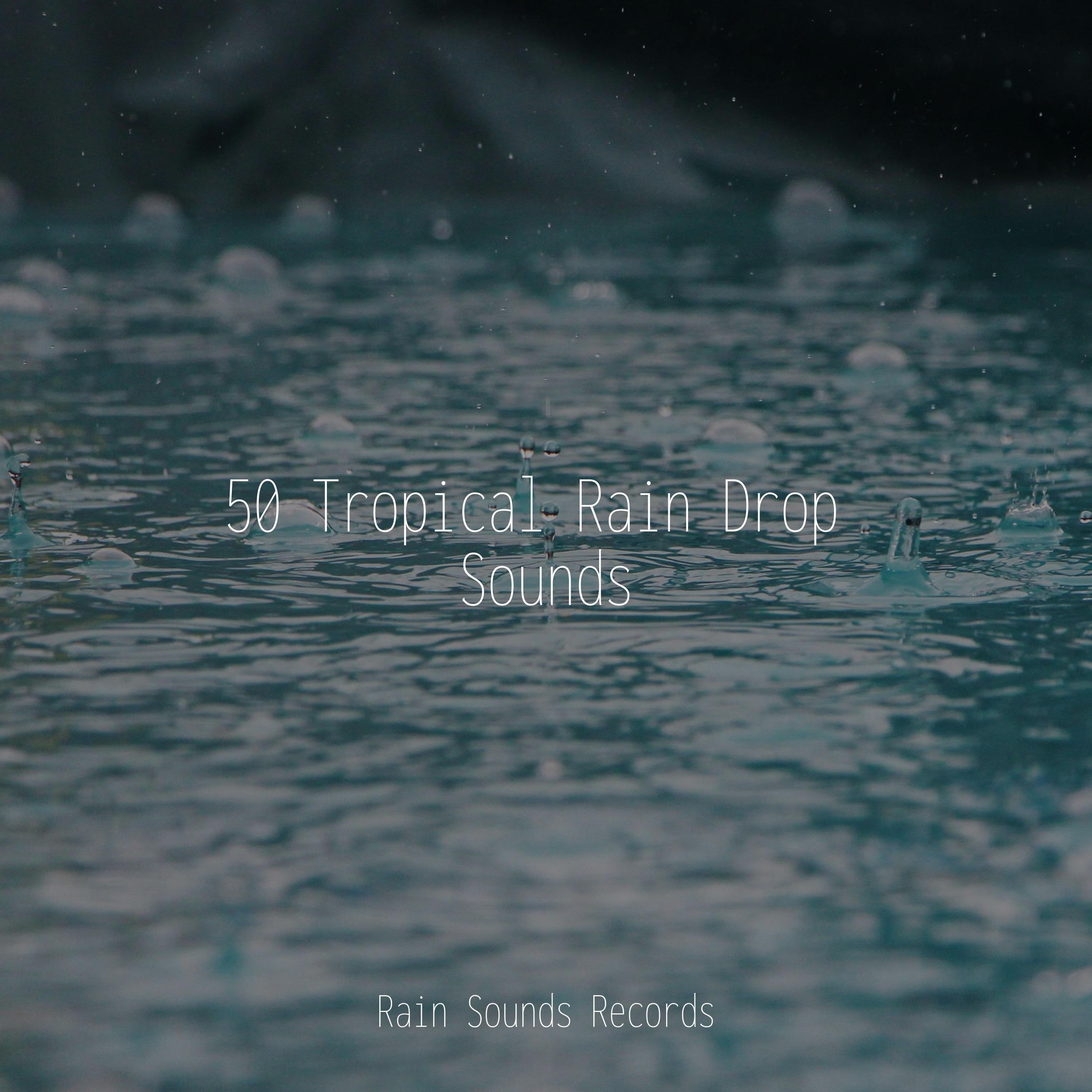 Echoes in the Cobblestones - Sleep Sound Library/Relaxing Rain Sounds ...