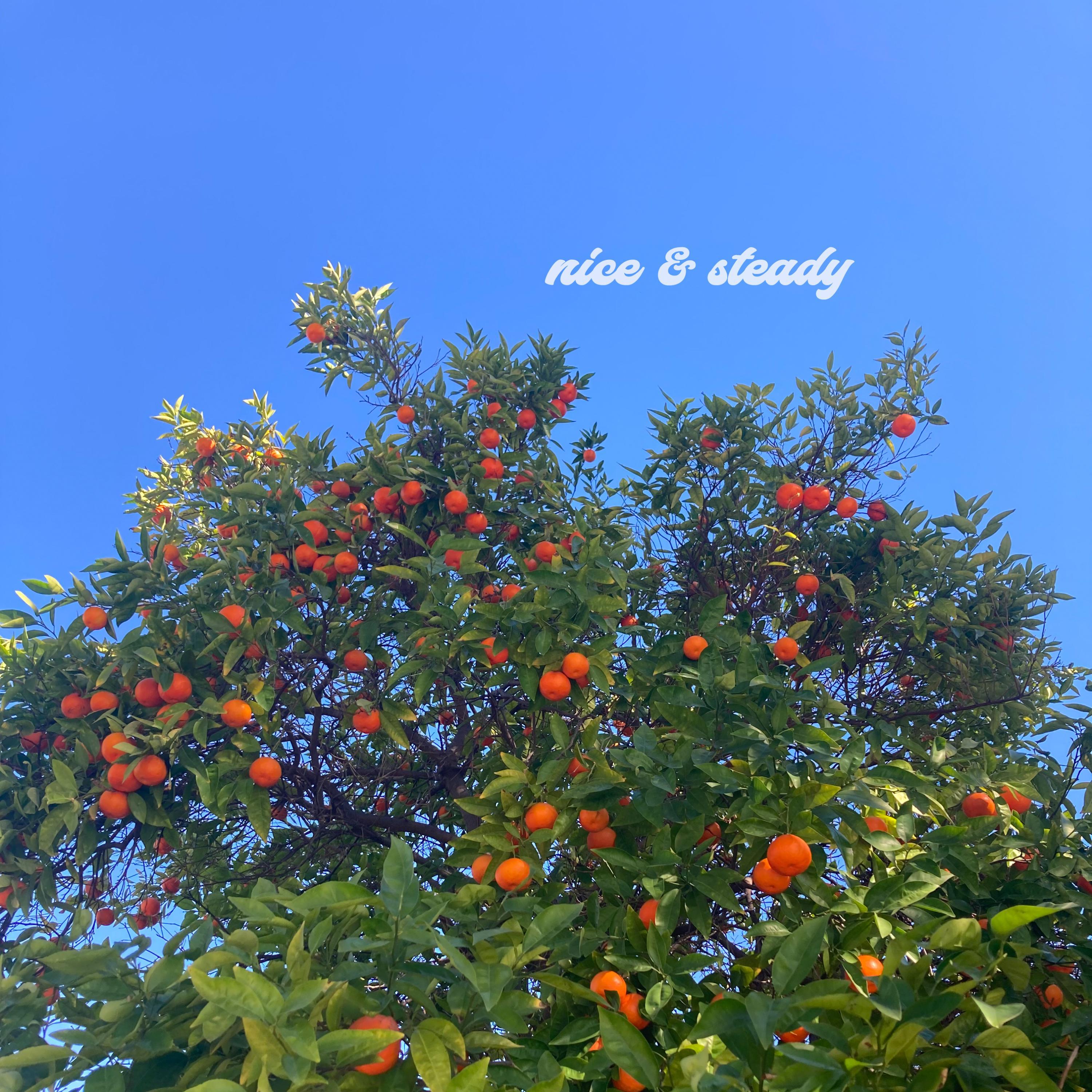Nice & Steady EP专辑