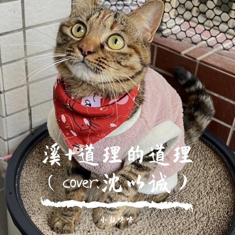 溪（Ocver 沈以诚）