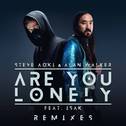 Are You Lonely (Remixes)专辑