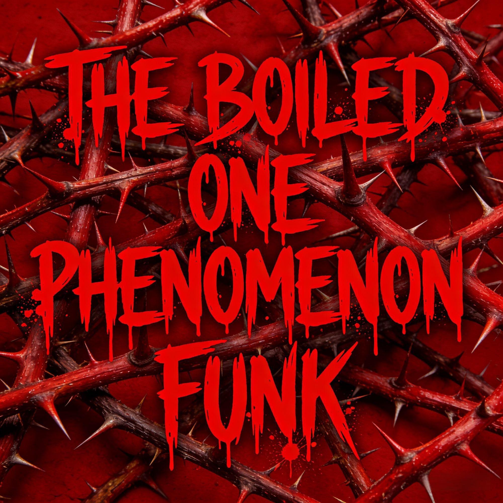 THE BOILED ONE PHENOMENON FUNK