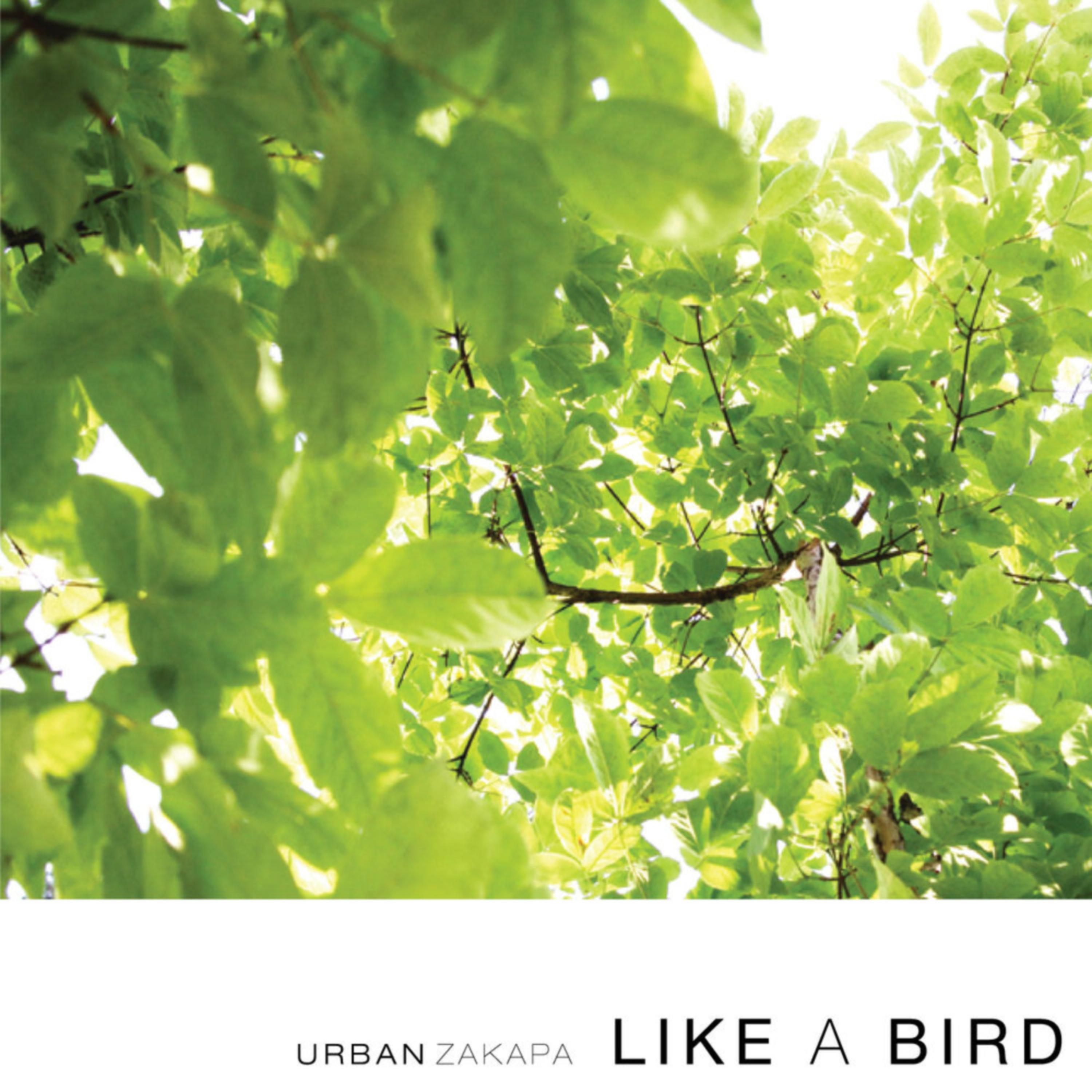 Like A Bird