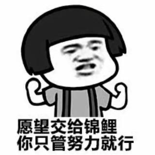 锦鲤护体 | 新年最强锦鲤歌单