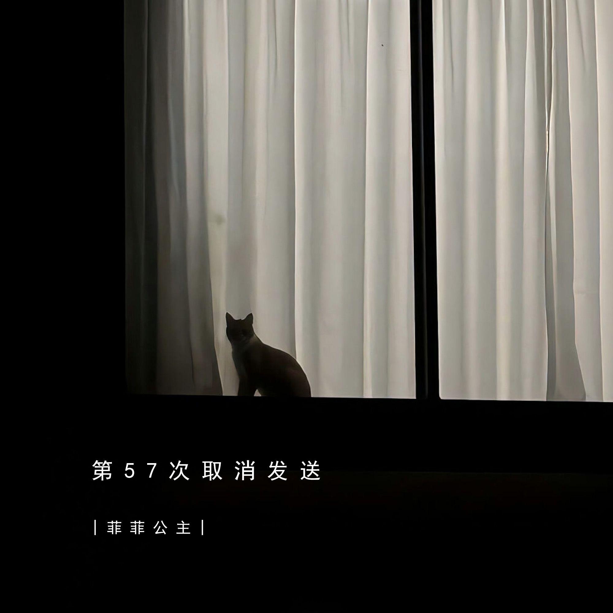 释怀 Bootleg - [第57次取消发送]