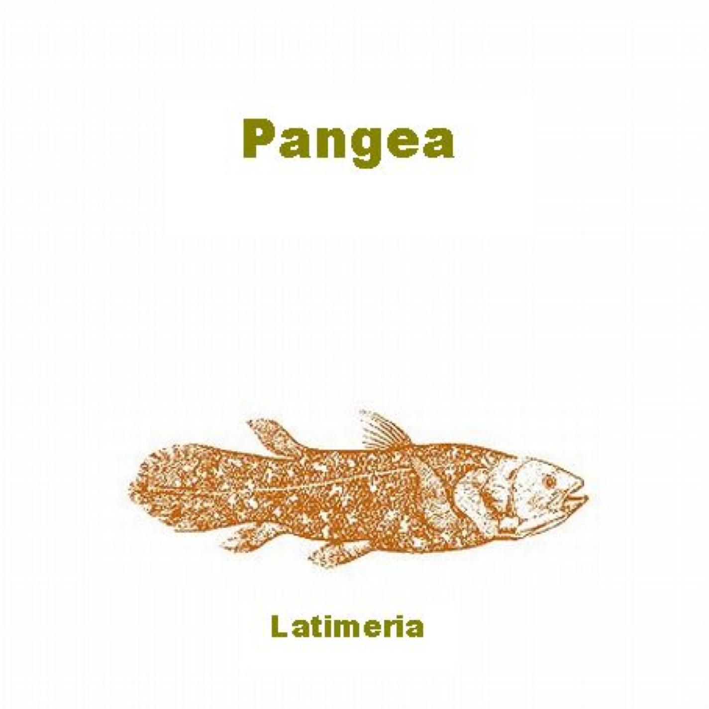Pangea - Shimmering Substance
