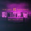 Right Now (Robin Schulz VIP Remix)专辑