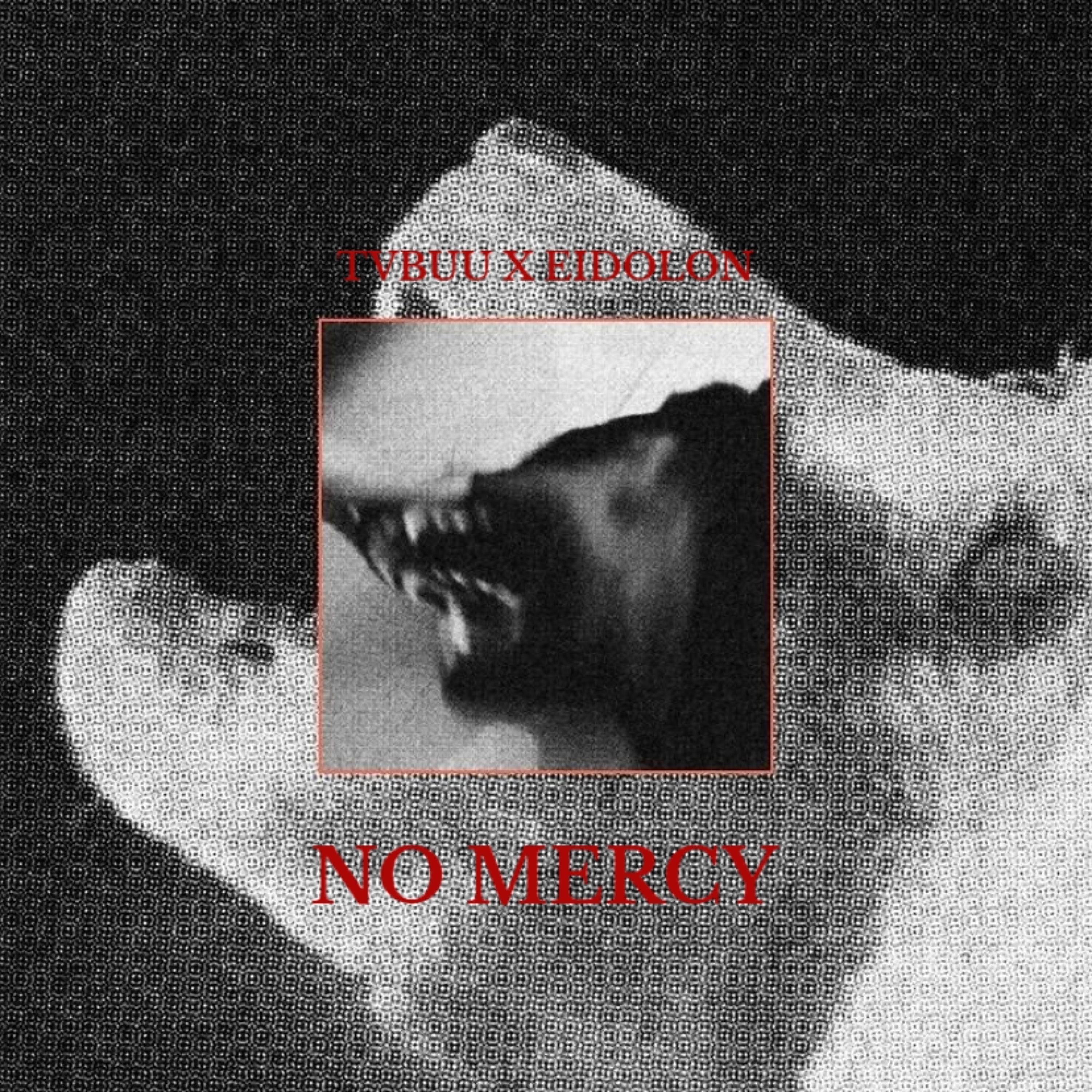 NO MERCY (feat. Eidolon)