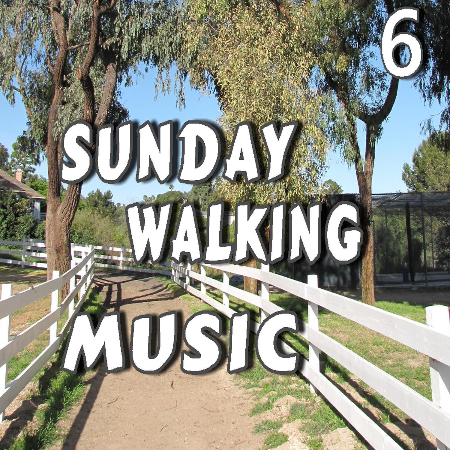 Sunday Walking Music, Vol. 6 (Special Edition)