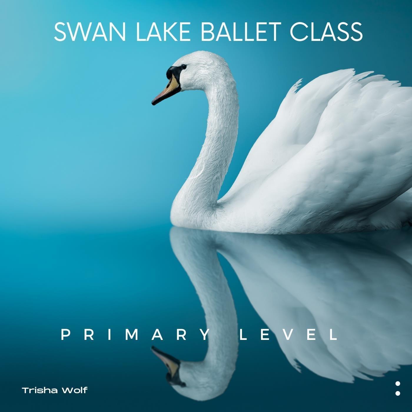 Demi Plié: Black Swan Pas De Deux