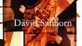 The Best Of David Sanborn专辑