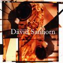 The Best Of David Sanborn专辑