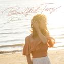 Beautiful Tears专辑