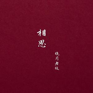 晓月(袁萍) - 相思曲(原版立体声伴奏)