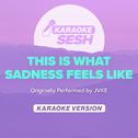 this is what sadness feels like (Originally Performed by JVKE) (Karaoke Version)专辑