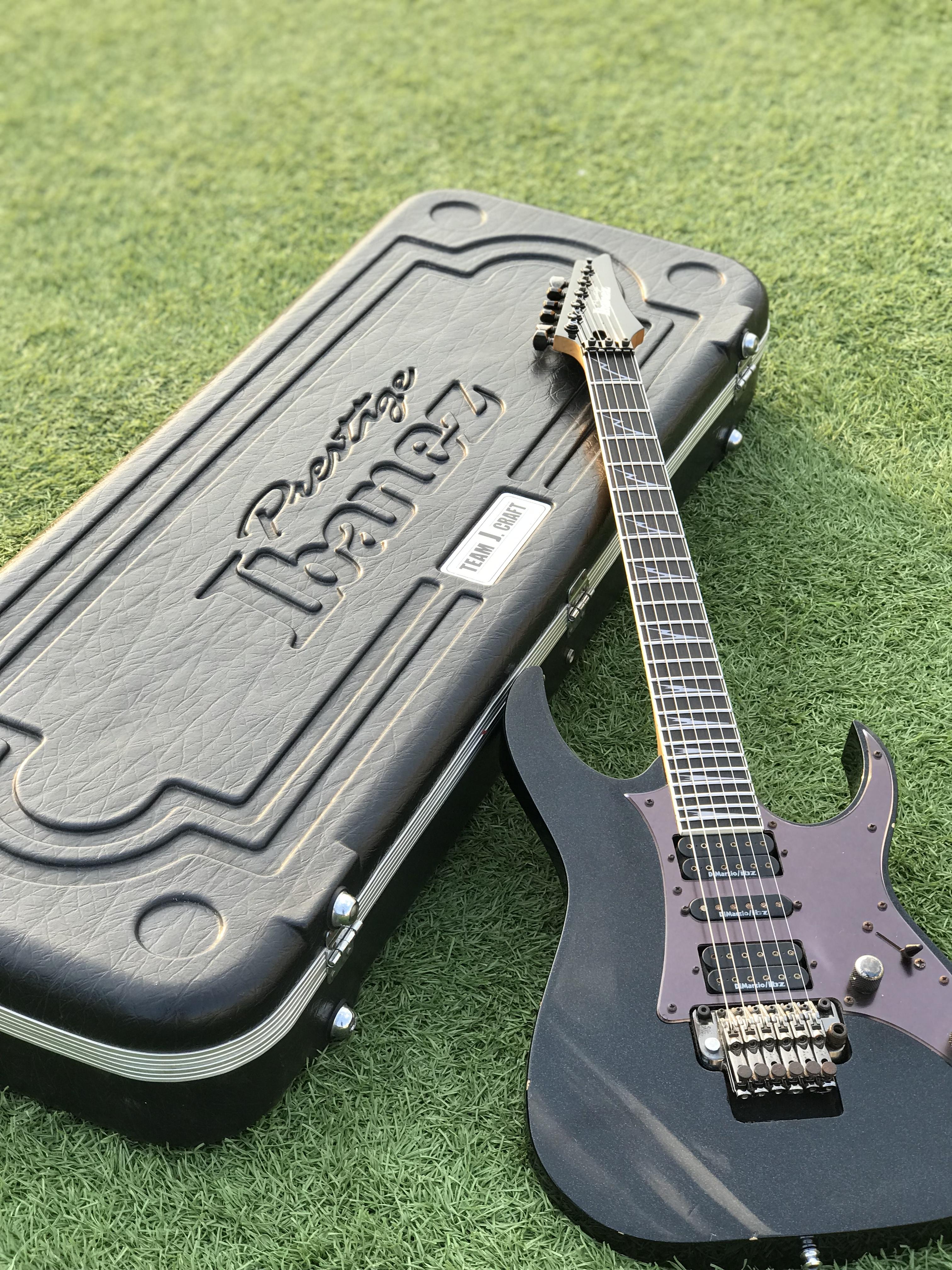 Purple Passion 紫色激情