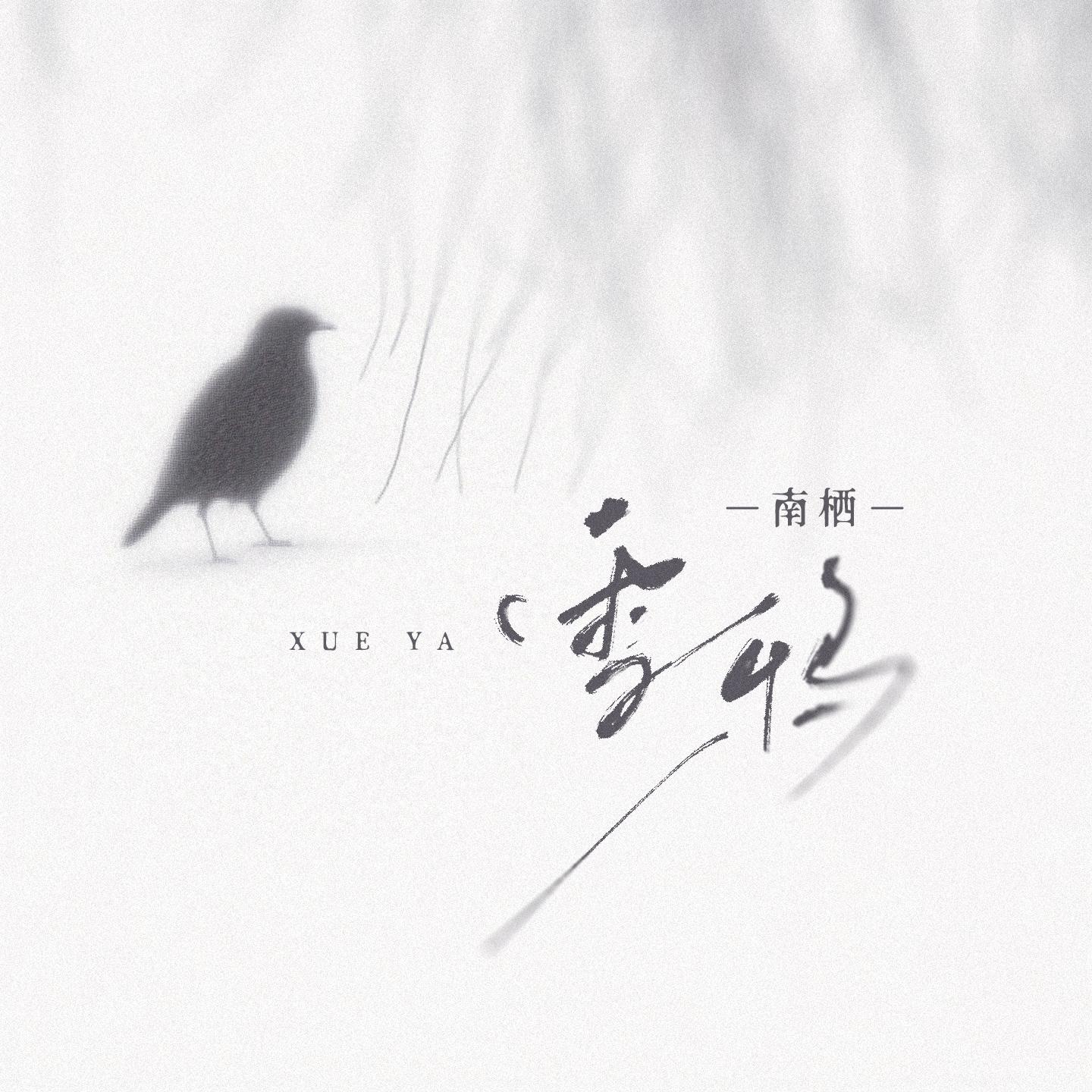 雪鸦