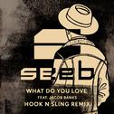 What Do You Love (Hook N Sling Remix)专辑