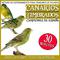 Training Method for Bird Breeders. Spanish Champions Timbrado Canaries For Young Canary专辑