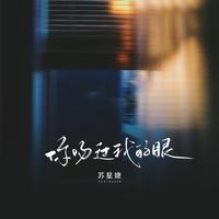 苏星婕 - 你吻过我的眼