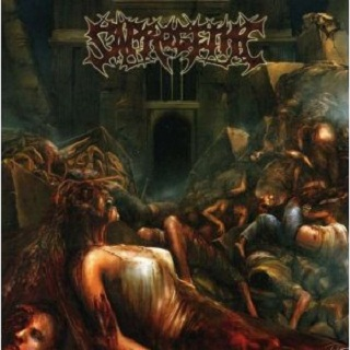 Wet Sound of Flesh on Concrete