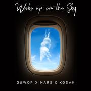 Wake Up in the Sky