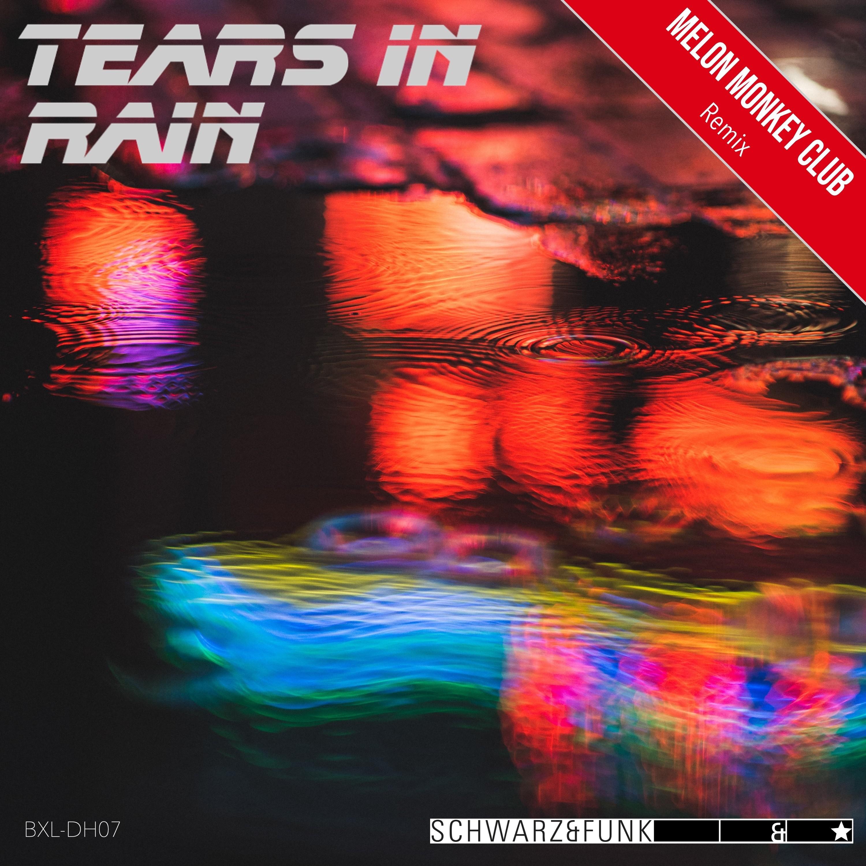 Schwarz & Funk - Tears in Rain (Mmc Remix)